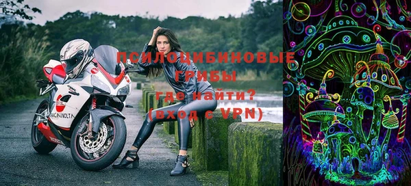 бошки Слюдянка